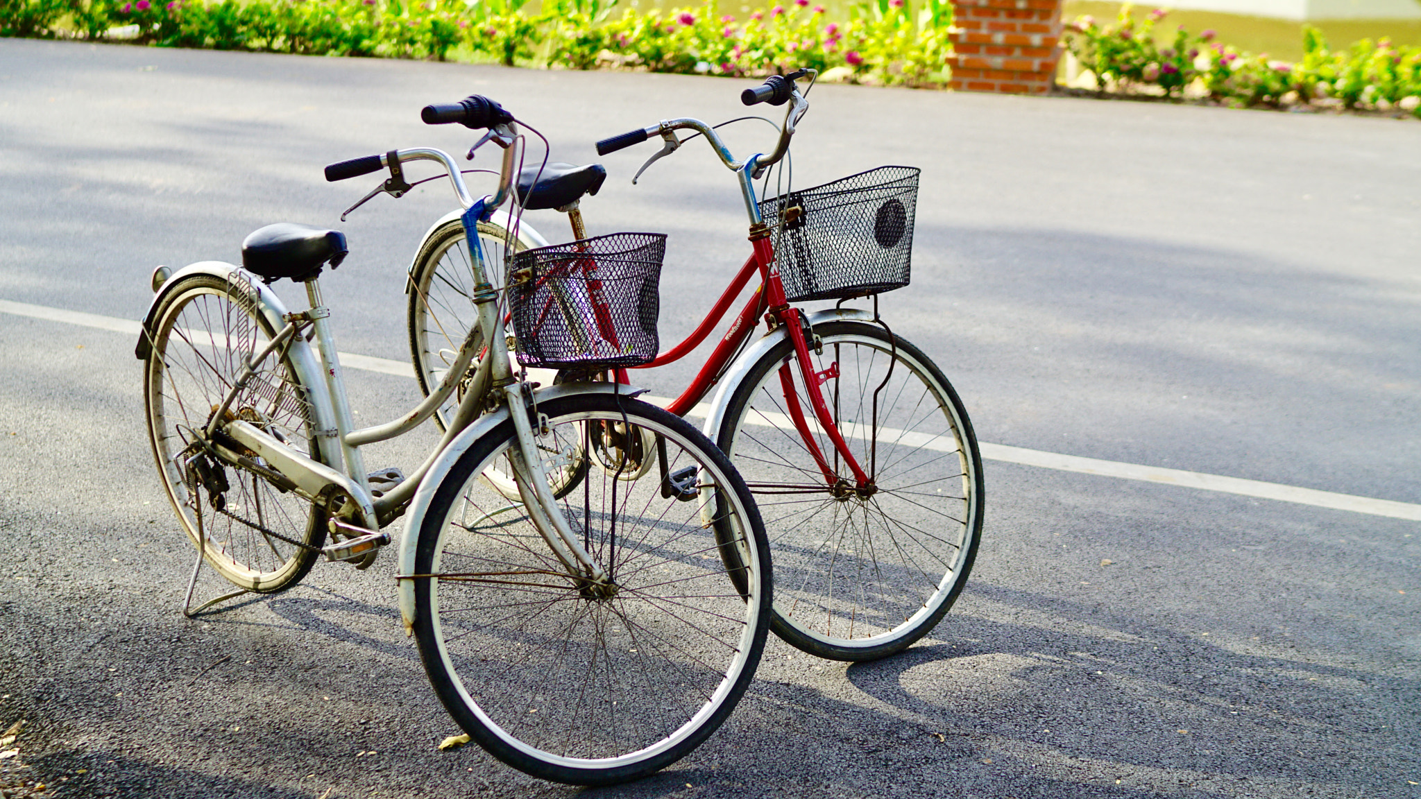 Sony a5100 + Sony Distagon T* FE 35mm F1.4 ZA sample photo. Bicycles on street photography