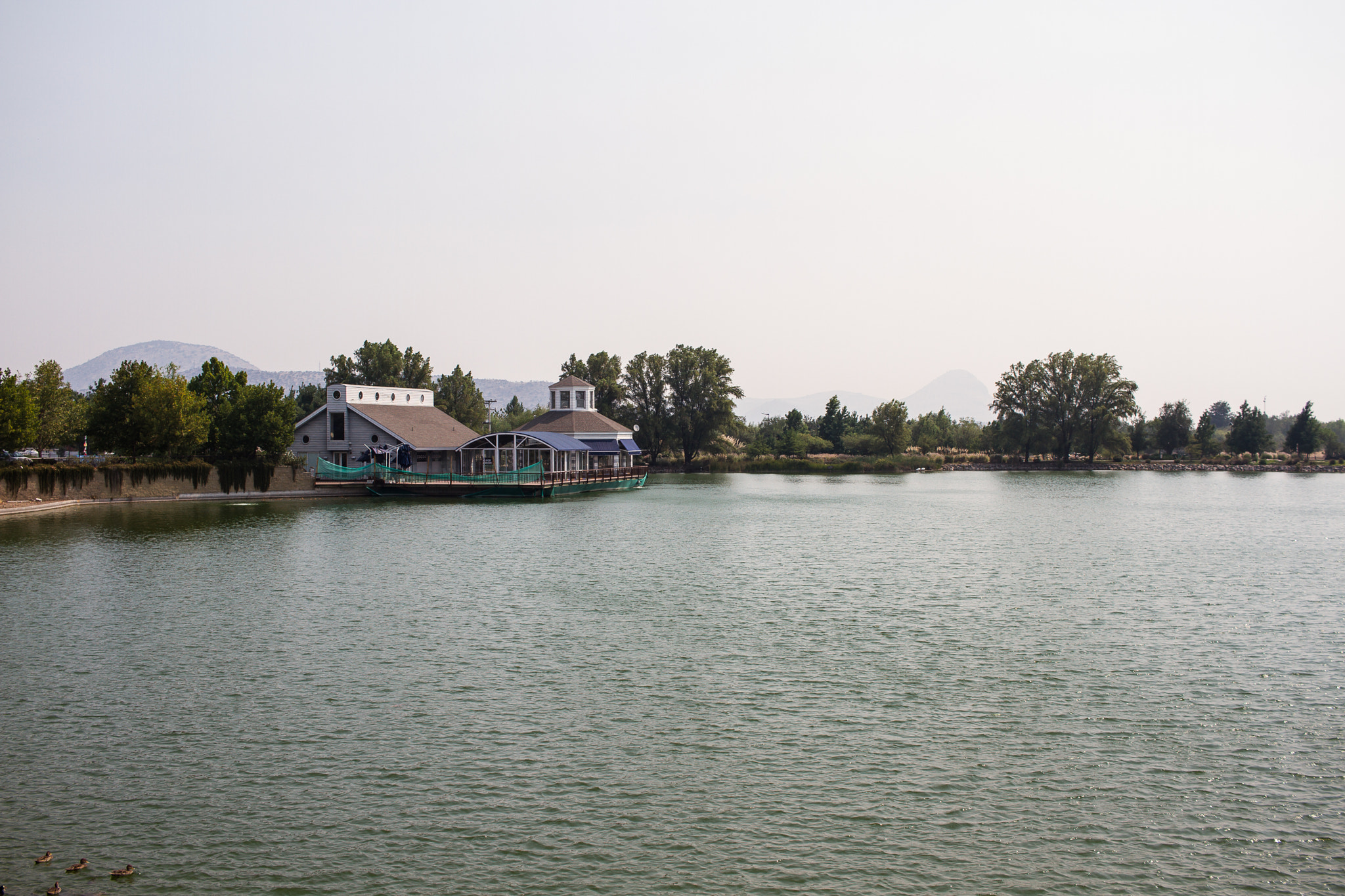 Canon EF-S 24mm F2.8 STM sample photo. Img photography