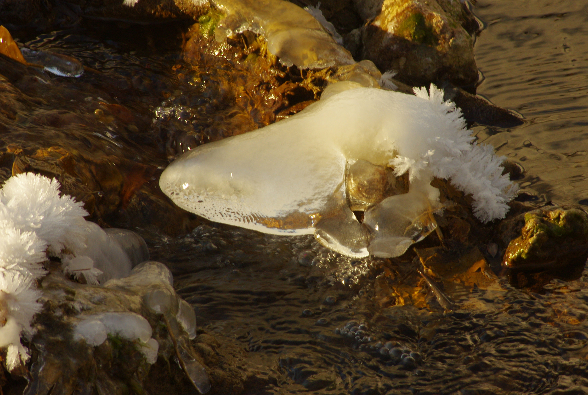 Pentax K-5 sample photo. Like the head and fin of a shark photography