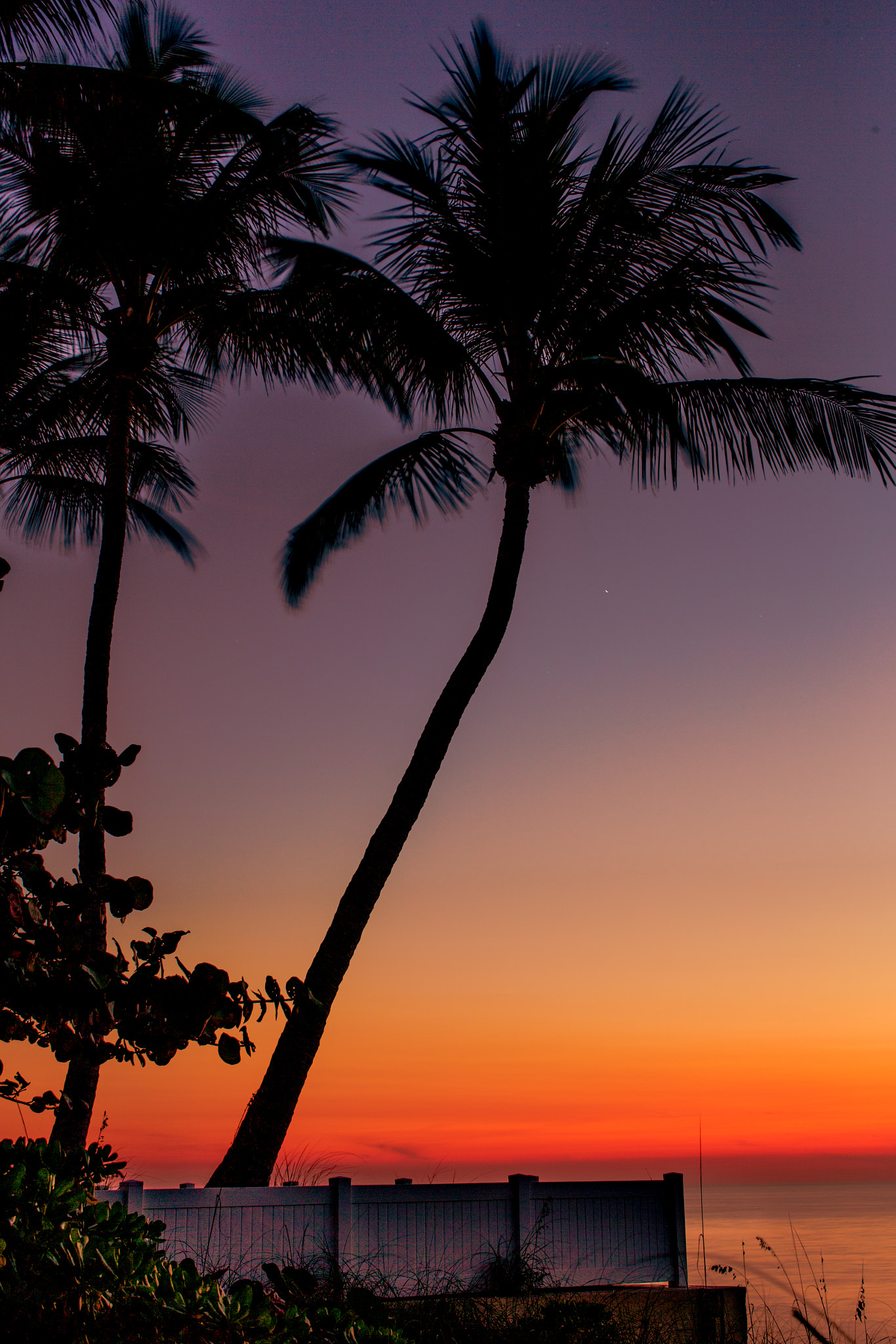 Canon EOS-1D X + Canon EF 50mm F1.2L USM sample photo. Sunset,naples photography