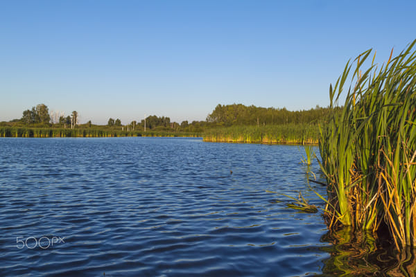 wetlands by Nick Patrin on 500px.com