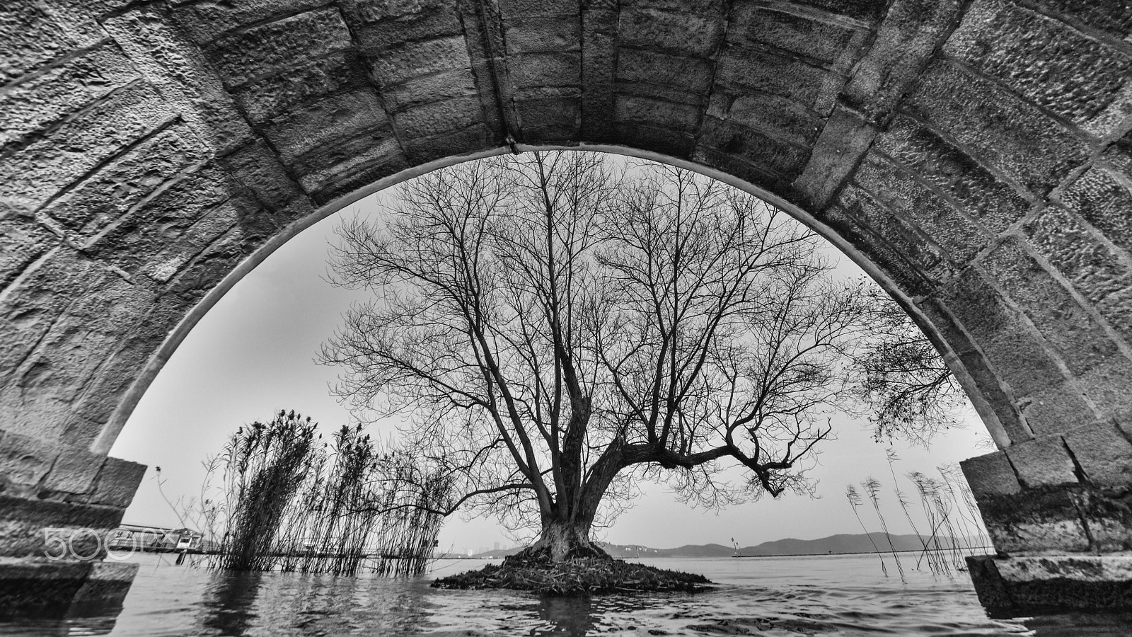 Nikon D810 + Sigma 12-24mm F4.5-5.6 II DG HSM sample photo. The lonely tree photography