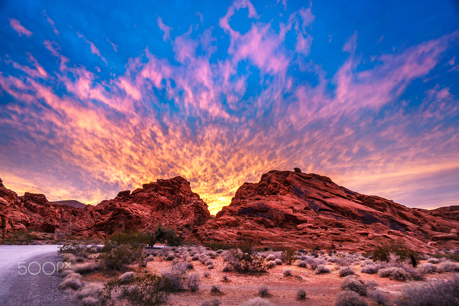 Sony a7R II sample photo. Sunset at camp photography