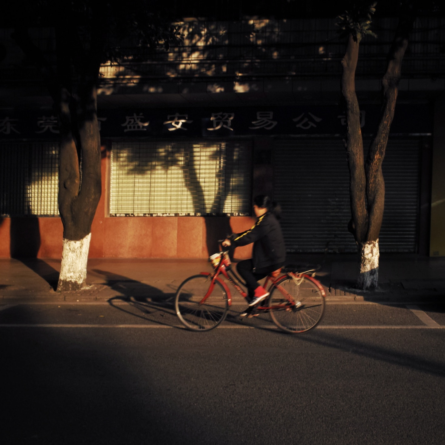 Sigma DP1x sample photo