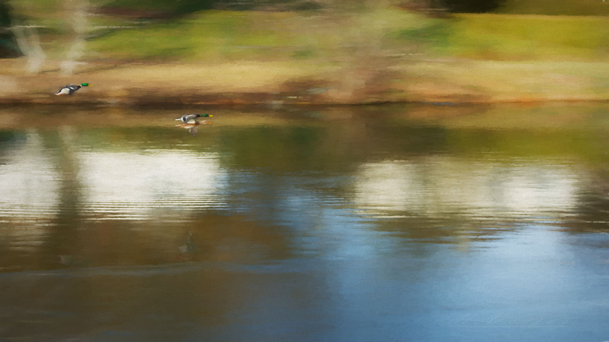 Canon EF 35-135mm f/4-5.6 USM sample photo. Hiver alencon le long de la sarthe photography