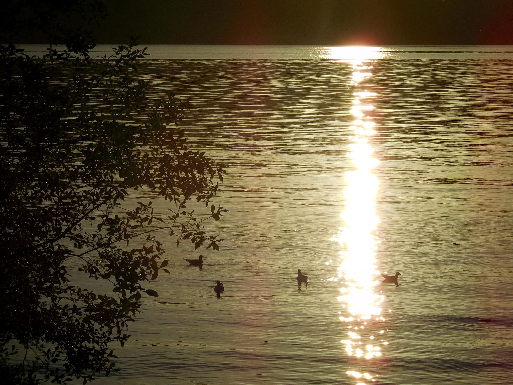 Nikon Coolpix S6900 sample photo. Sunset over lake district photography