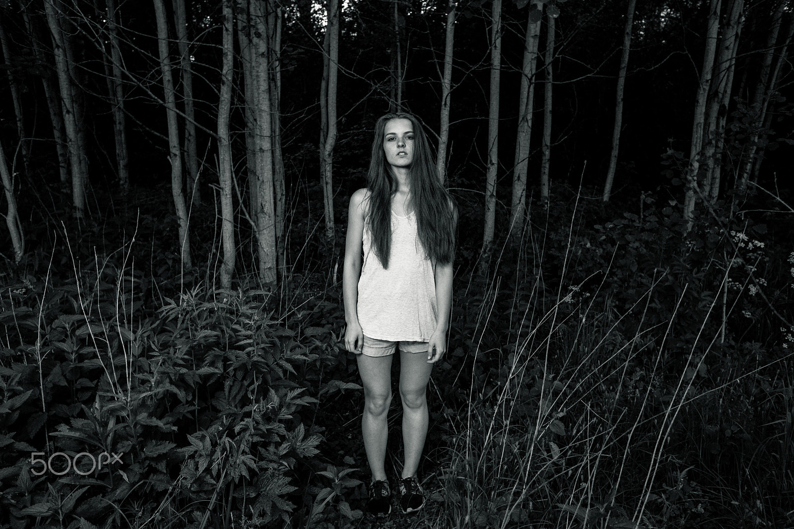 Canon EF 28mm F1.8 USM sample photo. Horror in the forest photography