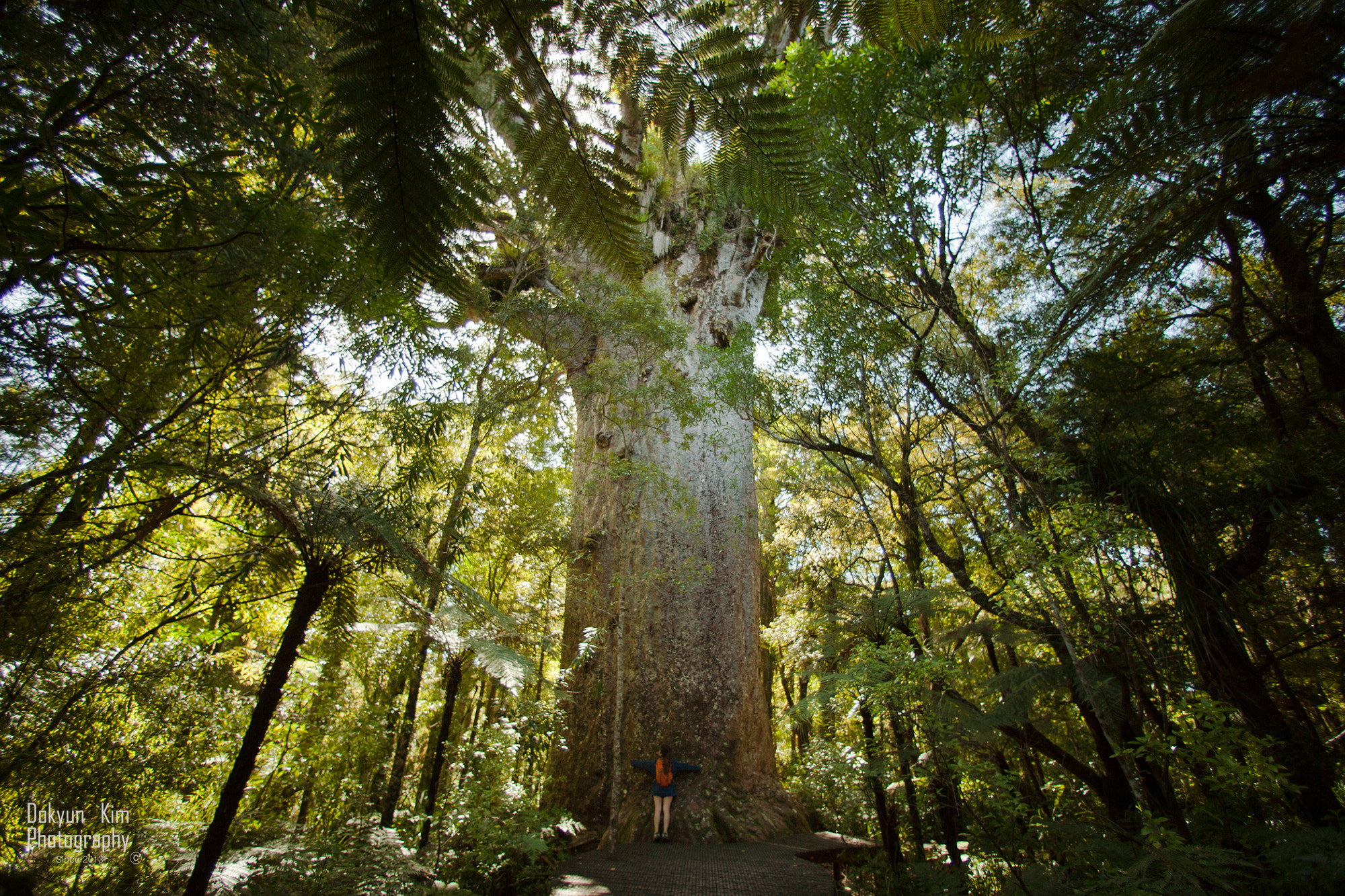 Canon EF 14mm F2.8L USM sample photo. Mother of nature photography