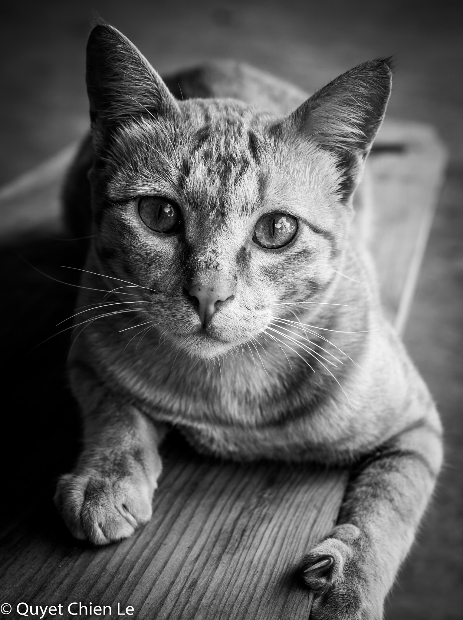 E 32mm F1.8 sample photo. Dsc photography