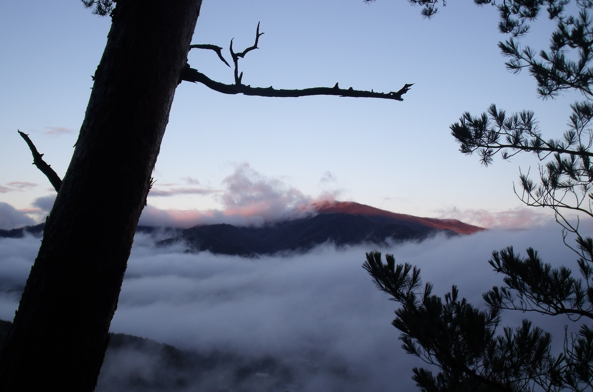 Fujifilm FinePix J110W sample photo. Early morning photography
