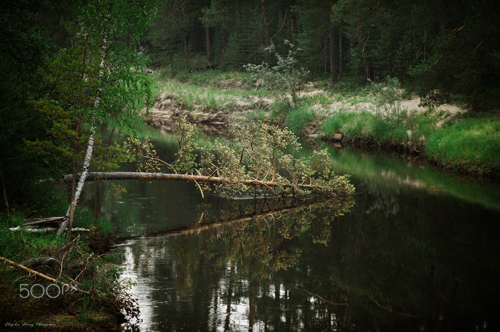 Nikon D3S sample photo. Где то в Сибири photography