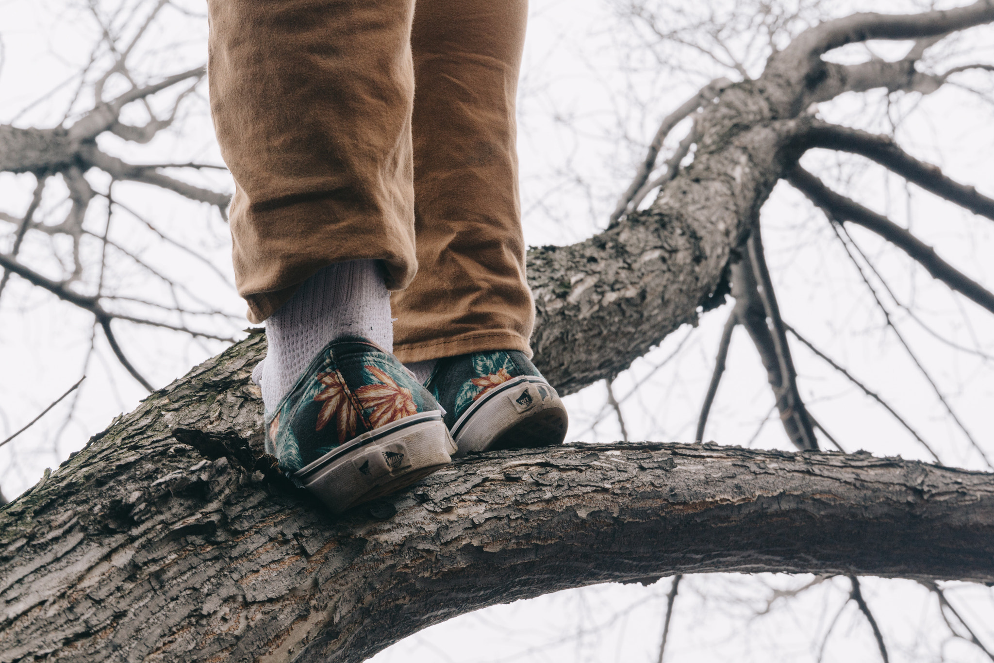 Canon EOS 650D (EOS Rebel T4i / EOS Kiss X6i) sample photo. Times like these call for climbing trees photography