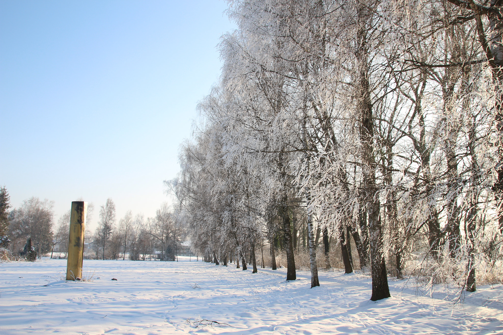 Sigma 18-250mm F3.5-6.3 DC OS HSM sample photo. Winterwonderland photography