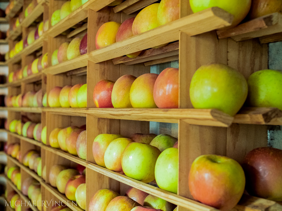 Olympus OM-D E-M1 + Olympus M.Zuiko Digital 25mm F1.8 sample photo. Fresh apple wall at bouley ny photography
