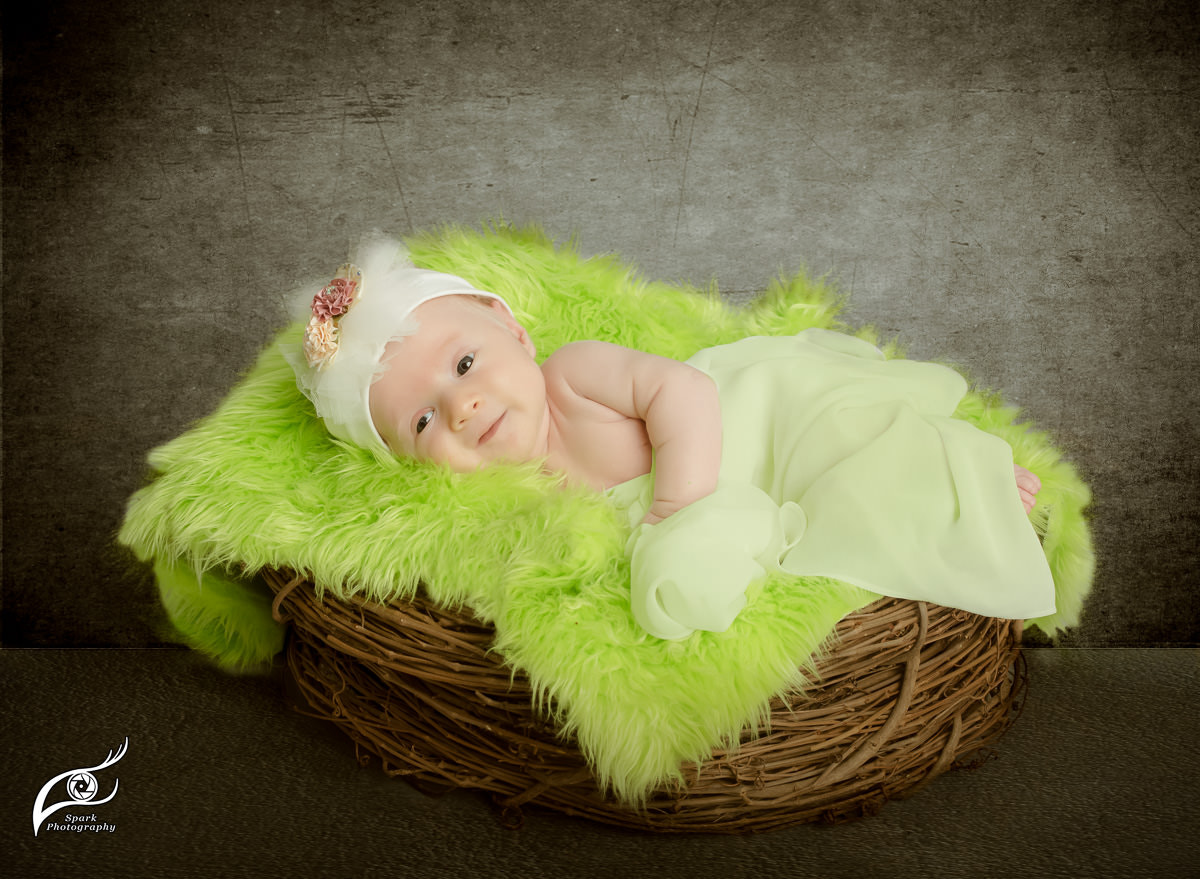 Canon EOS 5DS R sample photo. Untitled photography