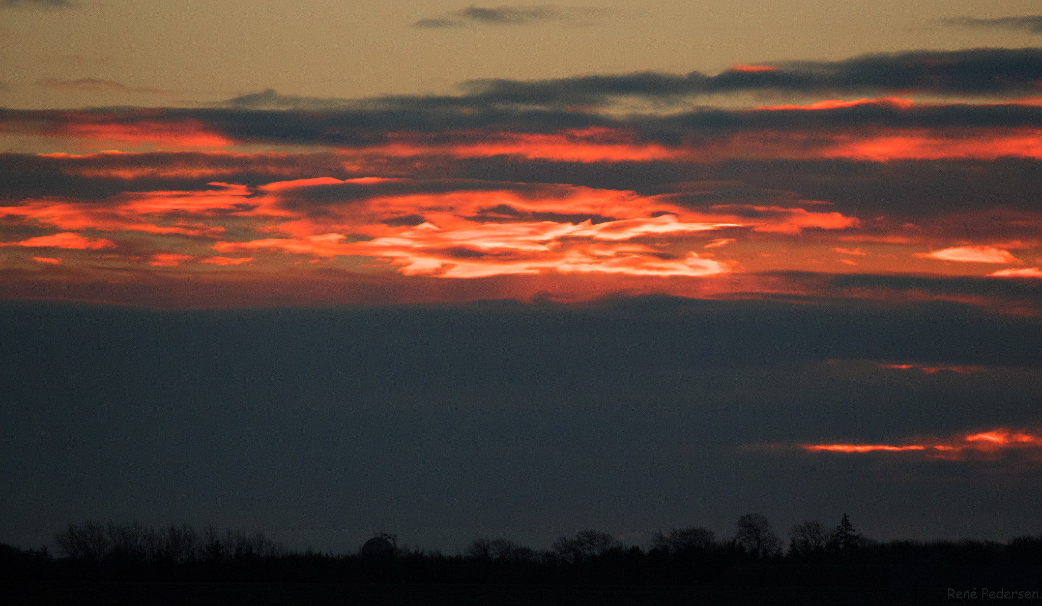 Canon EF 600mm f/4L IS sample photo. 17-01-15 mandø. photography