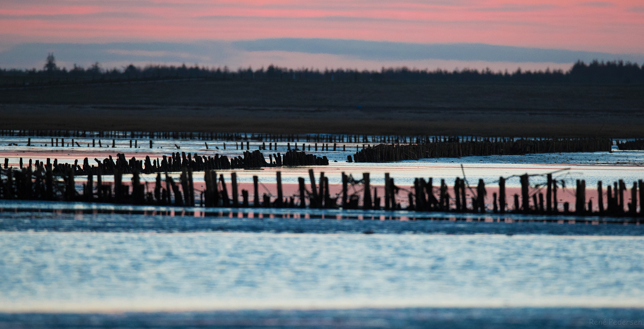 Canon EF 600mm f/4L IS sample photo. 17-01-15 mandø. photography