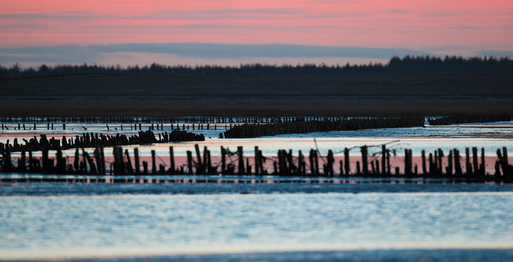Canon EF 600mm f/4L IS sample photo. 17-01-15 mandø. photography