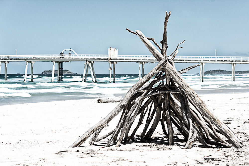 Nikon D800E + Sigma 85mm F1.4 EX DG HSM sample photo. Driftwood fingal sand pumping jetty photography