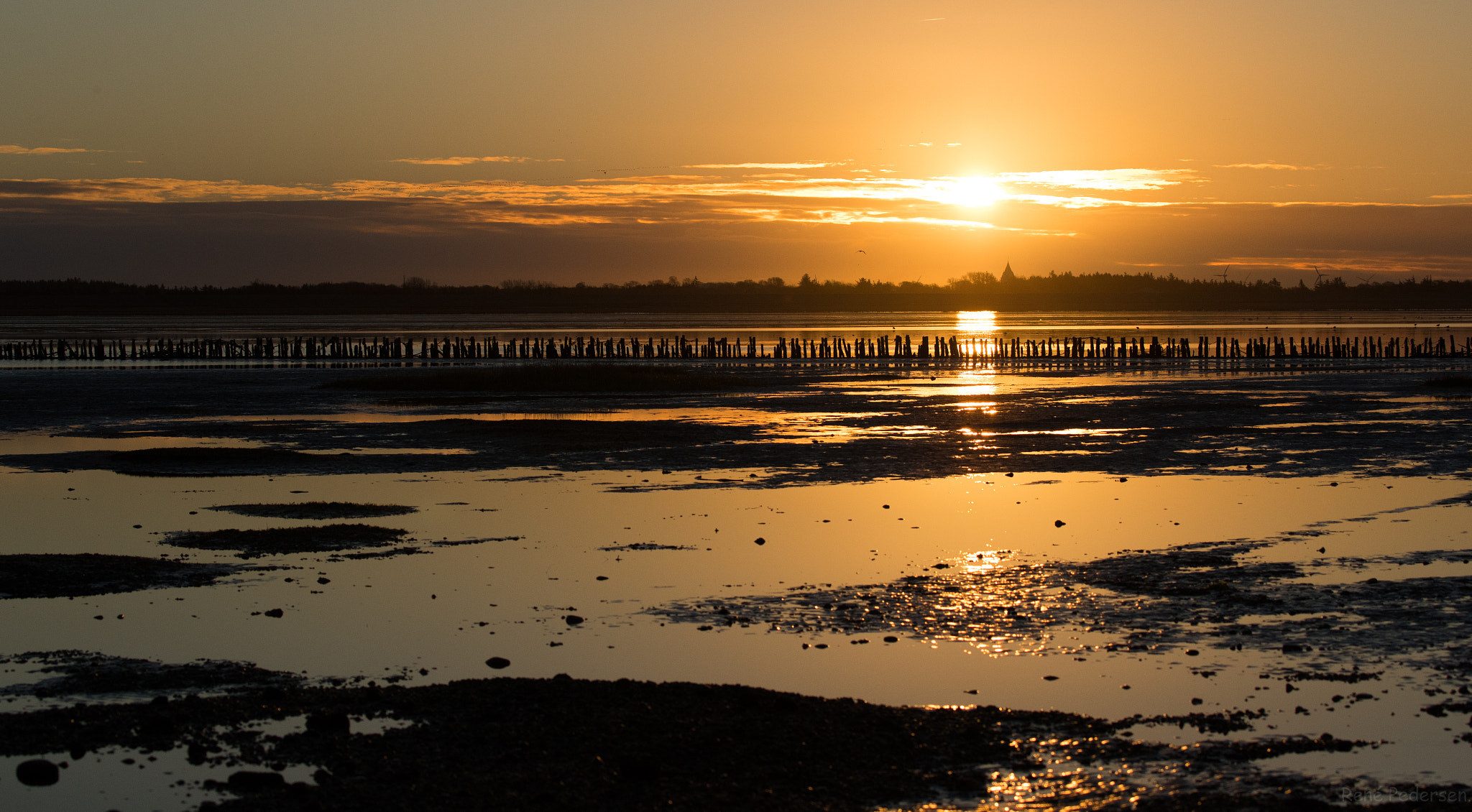 Canon EOS-1D X Mark II sample photo. 17-01-15 mandø. photography