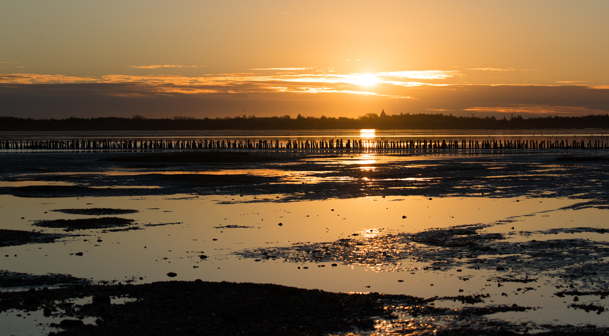 Canon EOS-1D X Mark II sample photo. 17-01-15 mandø. photography