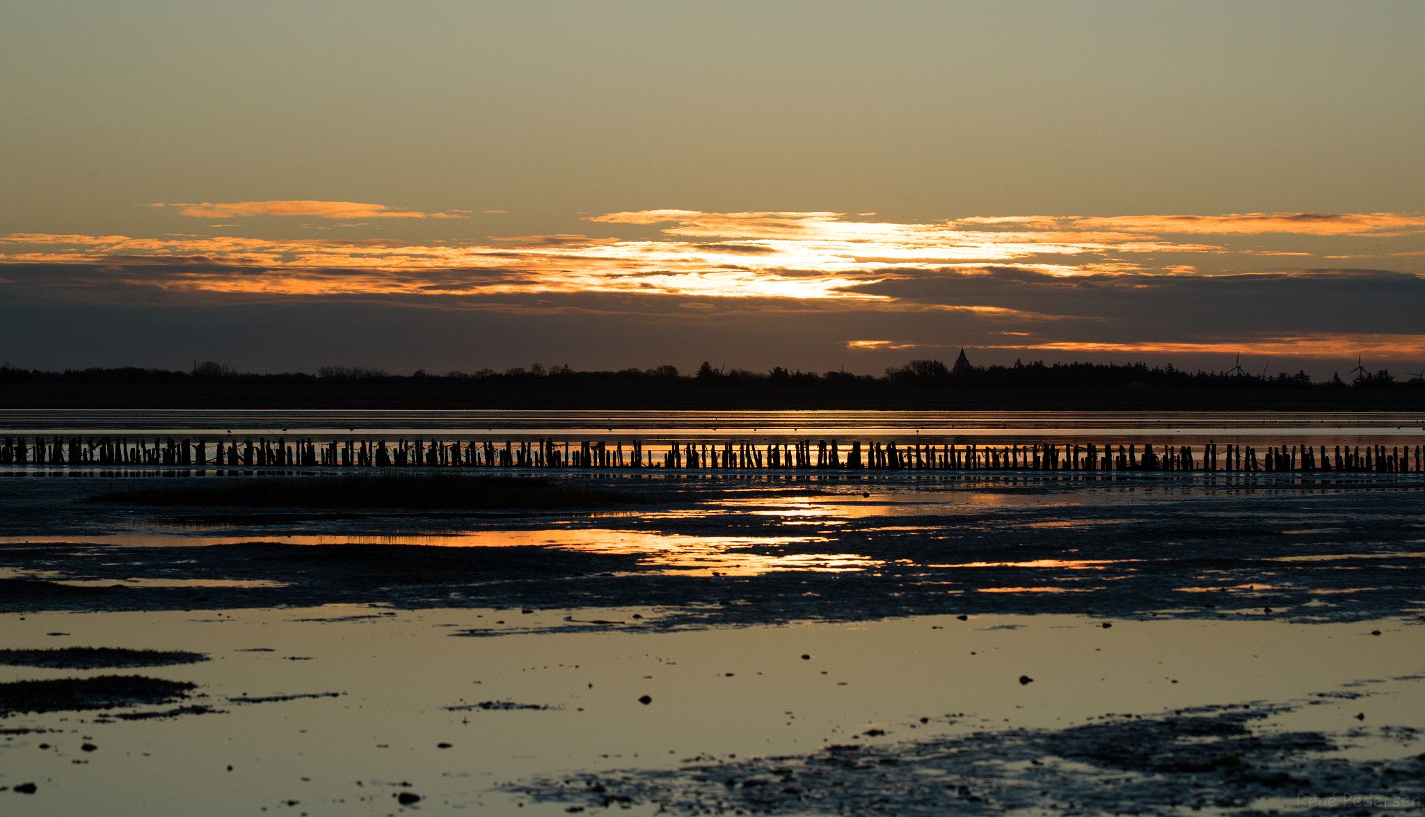 Canon EOS-1D X Mark II sample photo. 17-01-15 mandø. photography