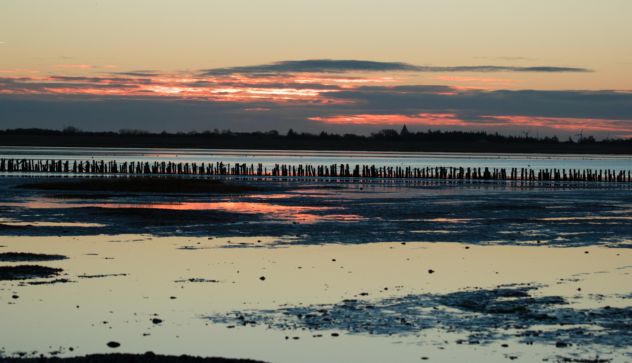 Canon EOS-1D X Mark II sample photo. 17-01-15 mandø. photography