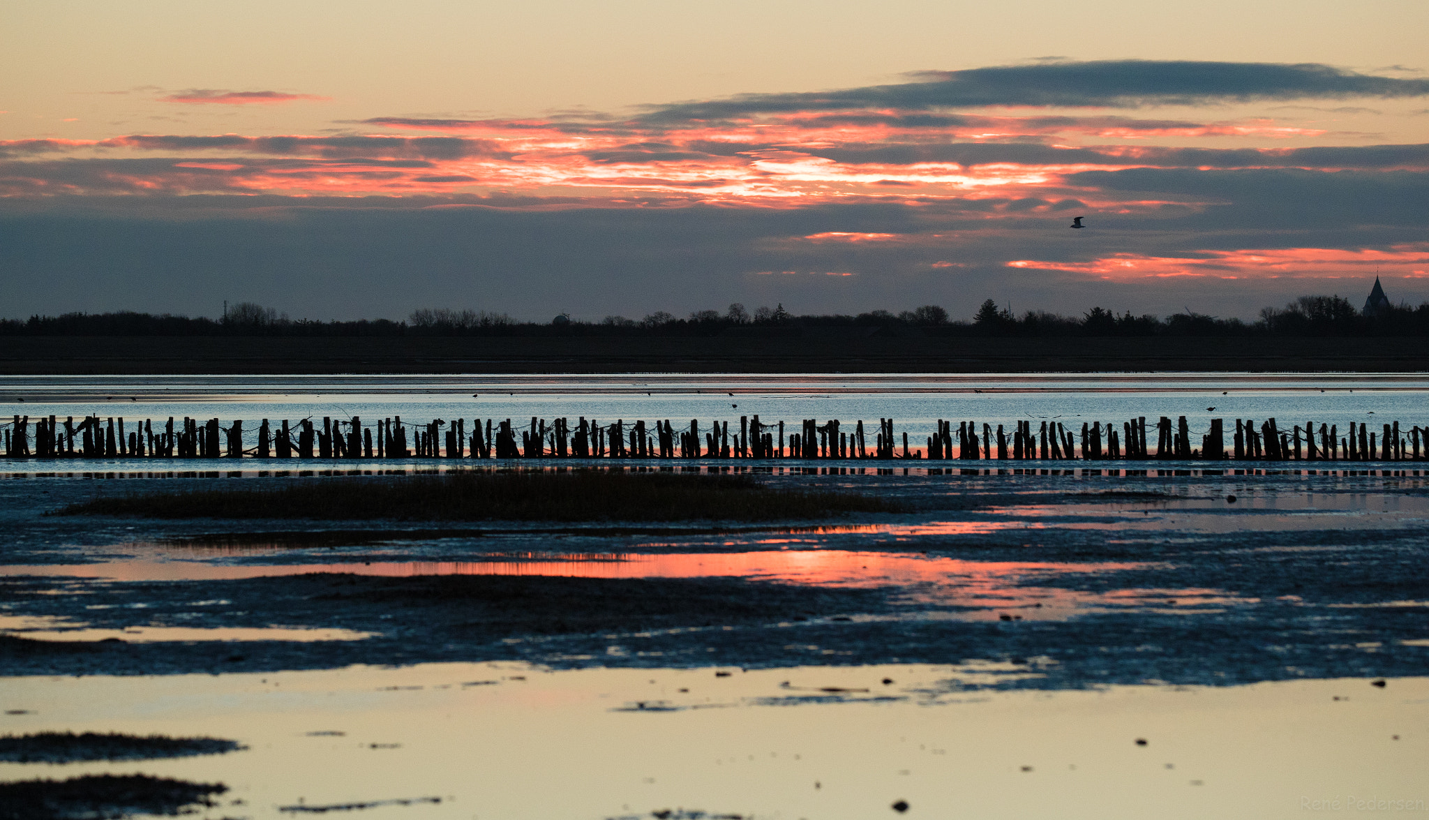 Canon EOS-1D X Mark II sample photo. 17-01-15 mandø. photography