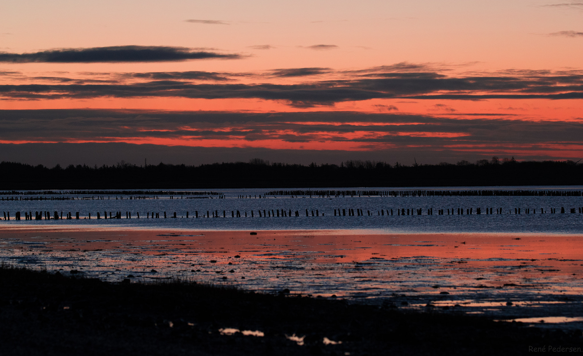 Canon EOS-1D X Mark II sample photo. 17-01-15 mandø. photography