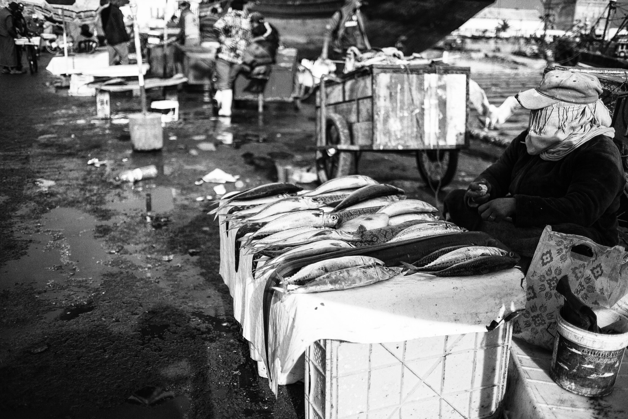 Canon EOS 5D Mark II + Canon EF 35mm F2 sample photo. Maroccan fish market photography