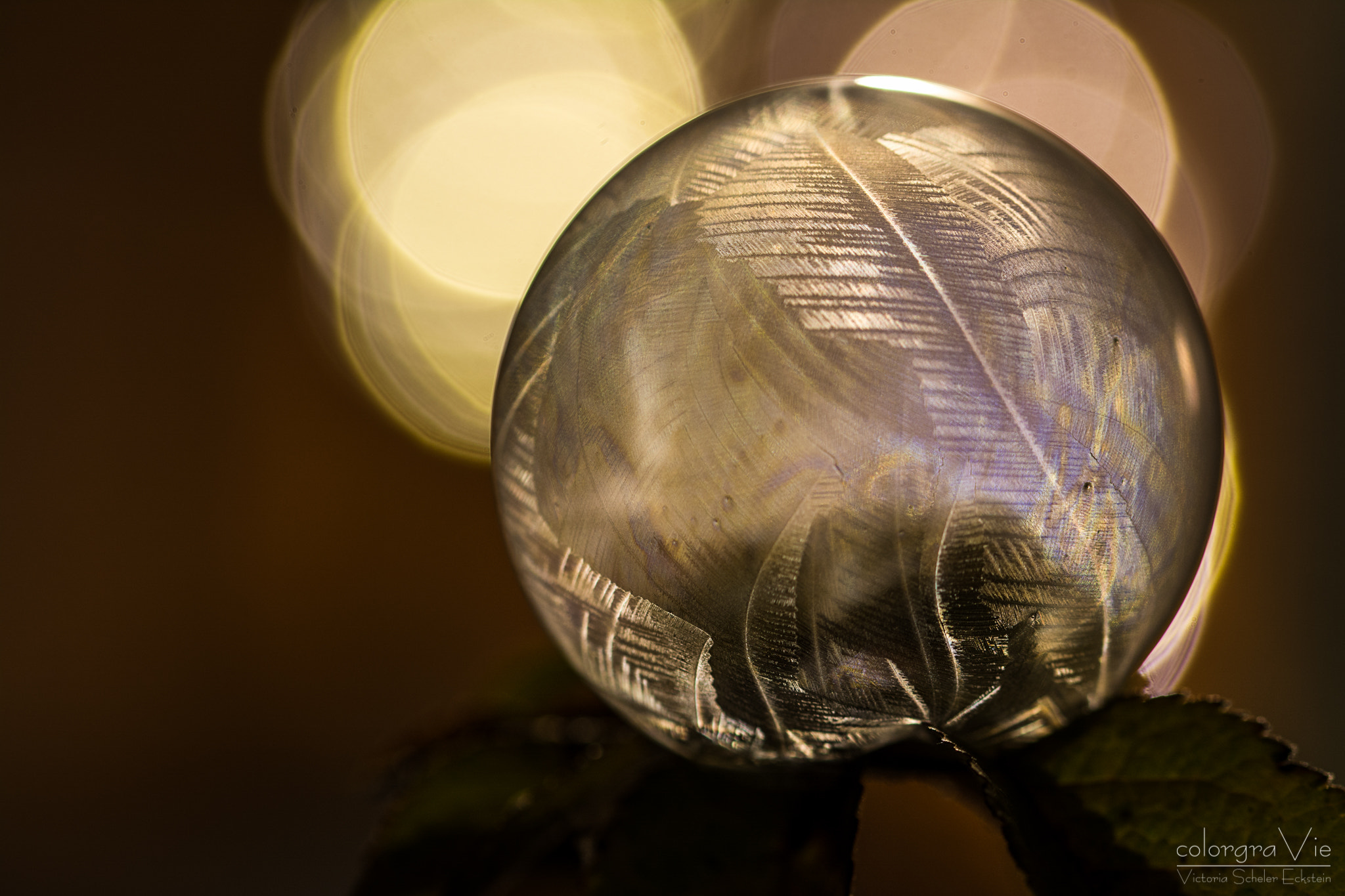 Sigma 105mm F2.8 EX DG OS HSM sample photo. Night bubble photography