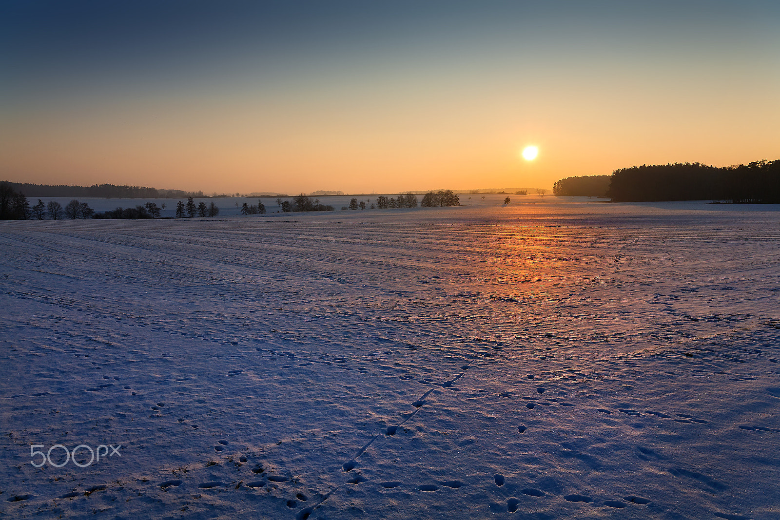 Canon EOS 5D sample photo. Winter sun impression photography
