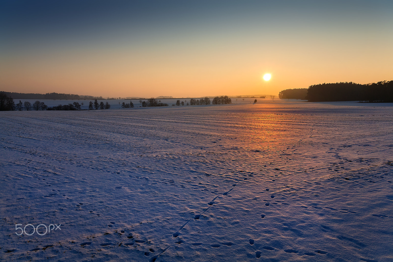 Canon EF 24-105mm F3.5-5.6 IS STM sample photo. Winter sun impression photography