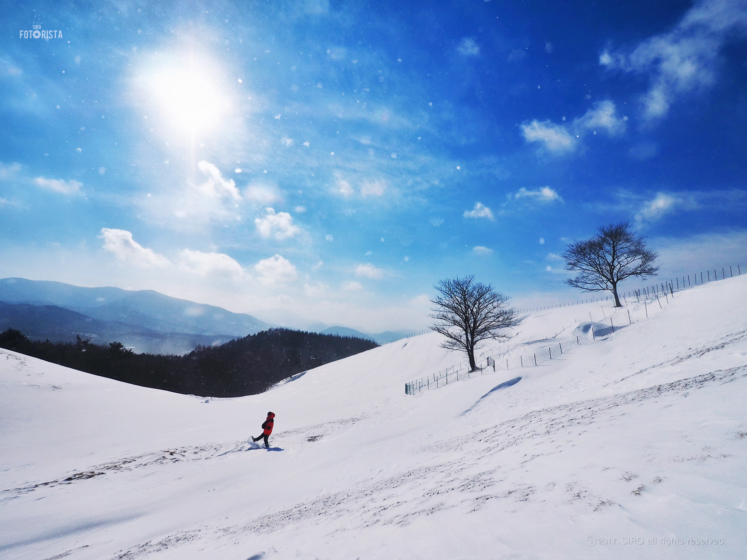 Olympus OM-D E-M1 + OLYMPUS M.9-18mm F4.0-5.6 sample photo. Bright winter sky photography