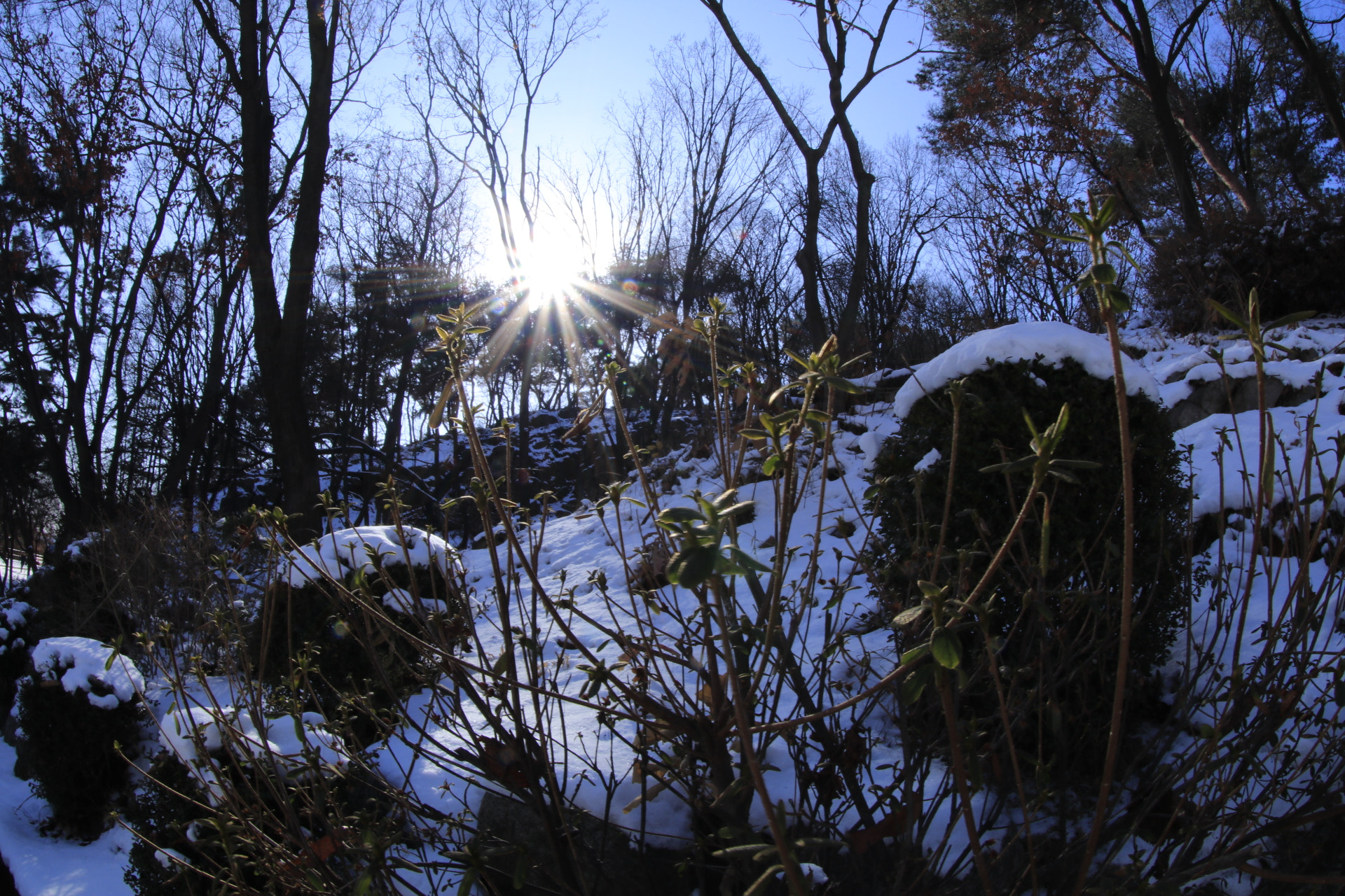 Canon EF 8-15mm F4L Fisheye USM sample photo. Grass photography