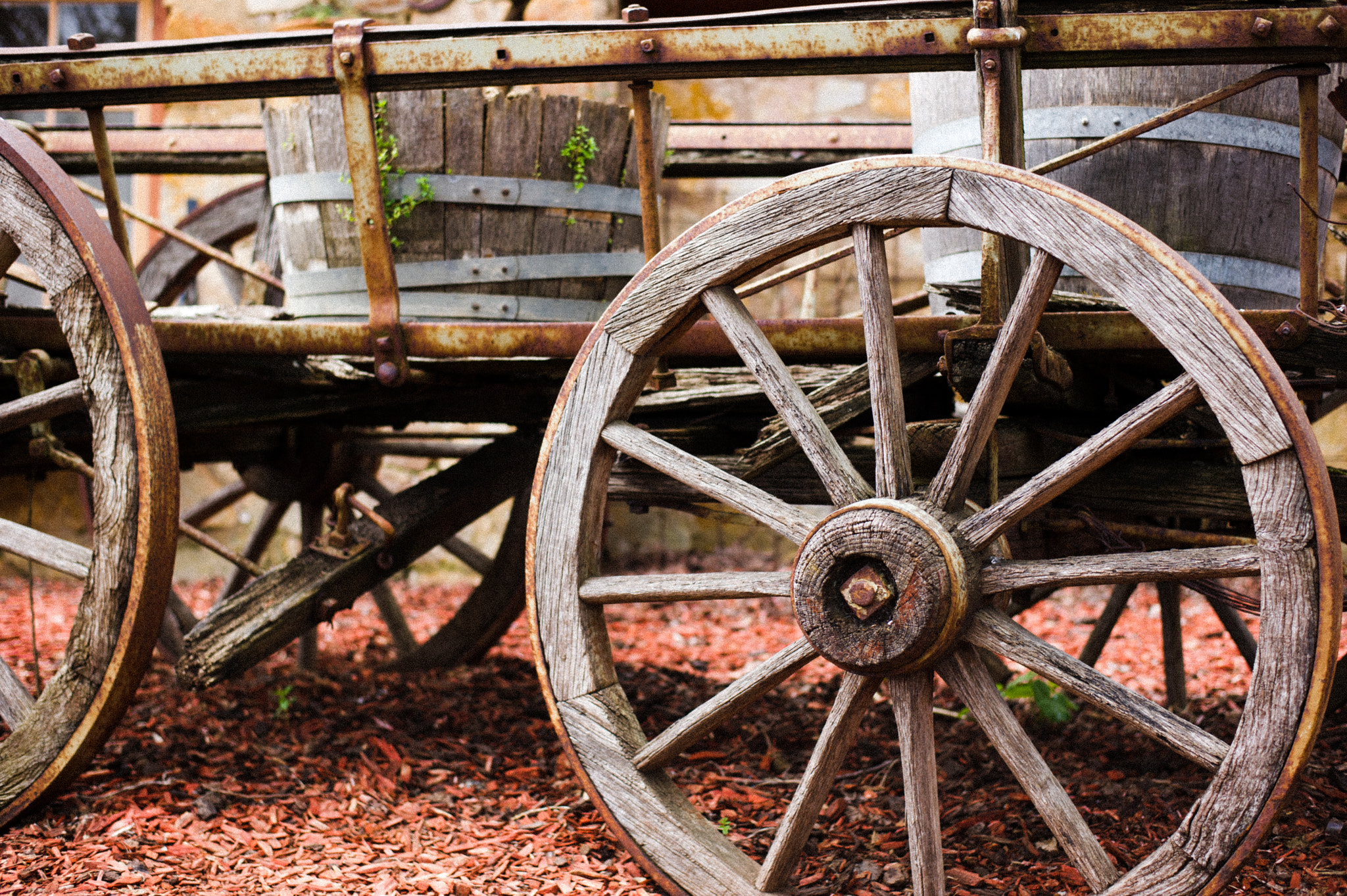 Nikon D3S sample photo. The wheel of time photography