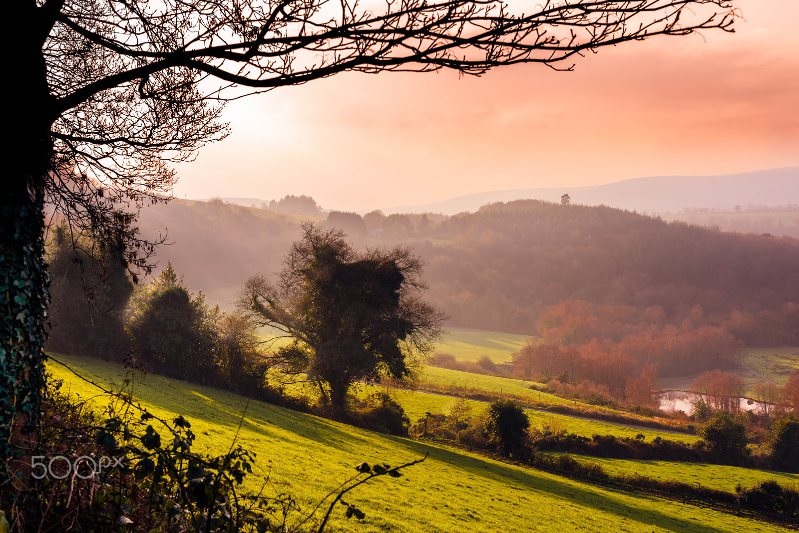 Nikon D610 sample photo. Sloping hillside photography