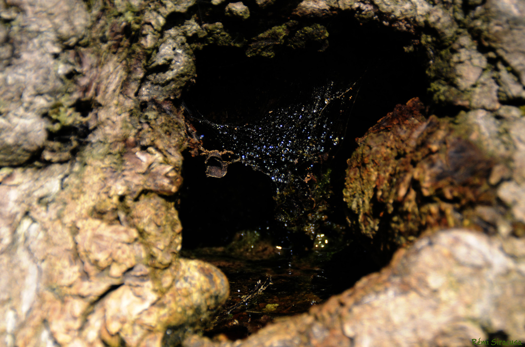 Nikon D300 sample photo. Untitled photography
