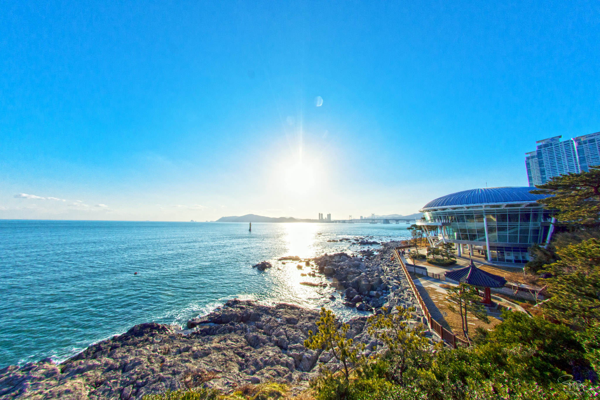 Nikon D7200 + Samyang 8mm F3.5 Aspherical IF MC Fisheye sample photo. Dongbaekseom photography