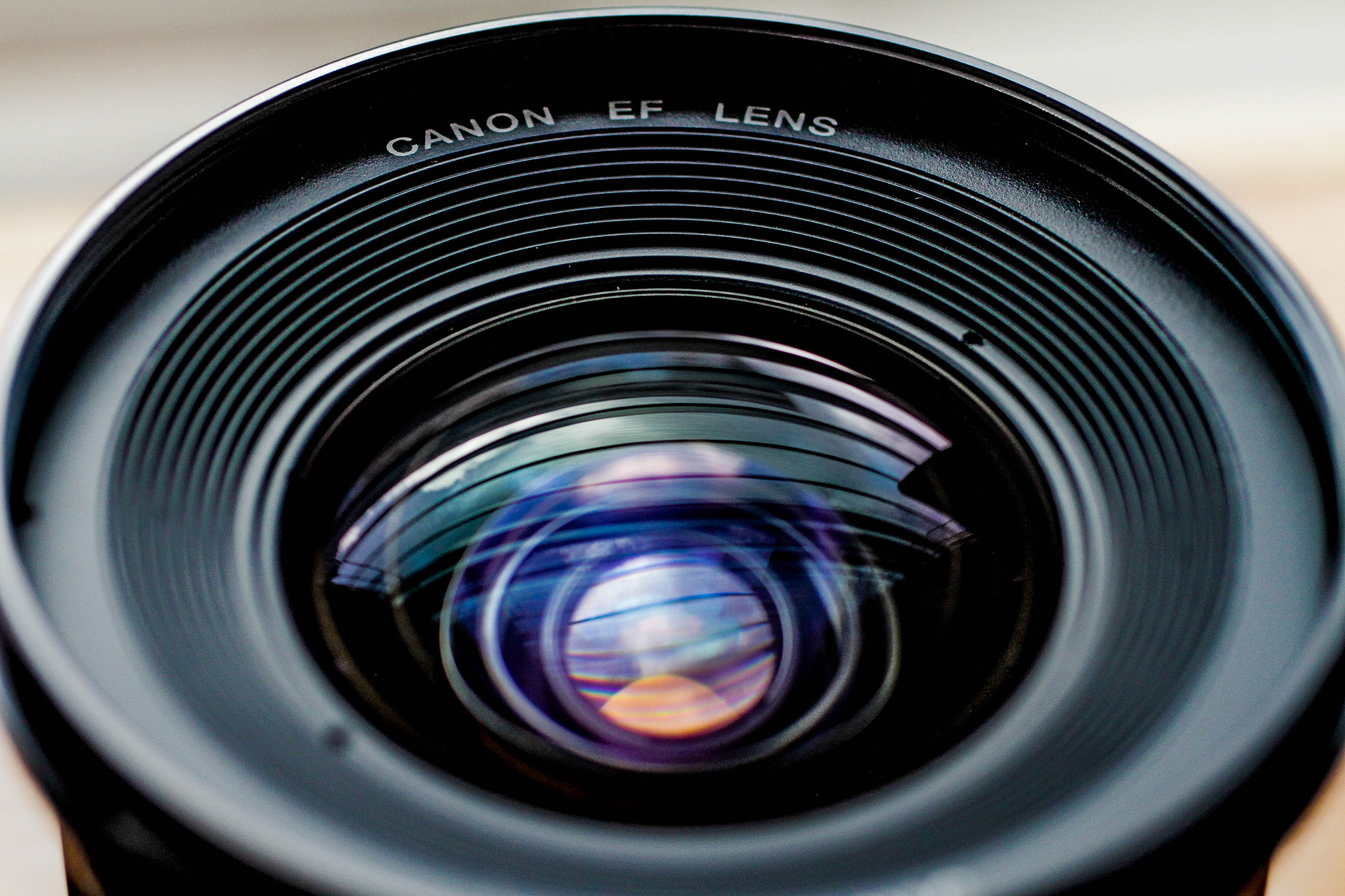 Canon EF 50mm F2.5 Macro sample photo. An unintended purpose photography