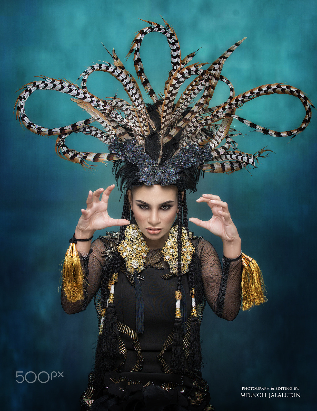 Nikon D800E sample photo. Queen of paradise photography