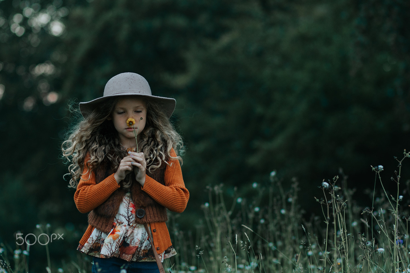 Canon EF 85mm F1.8 USM sample photo. Child photography photography
