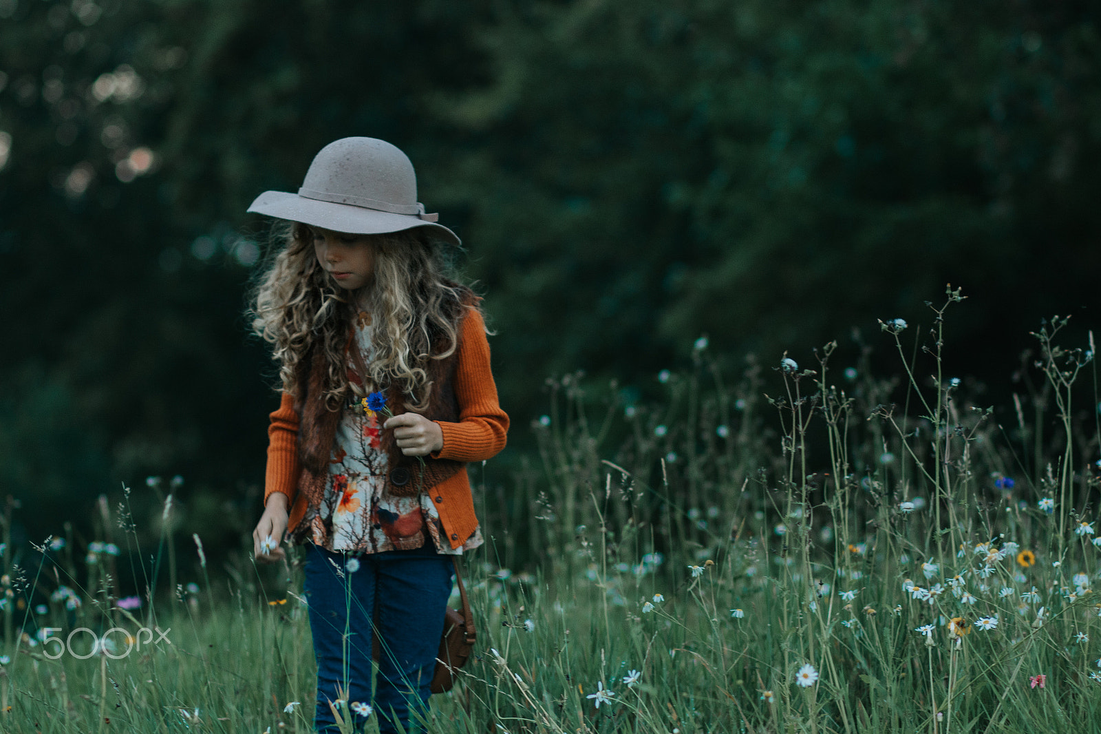 Canon EF 85mm F1.8 USM sample photo. Picking wild flowers child photography photography