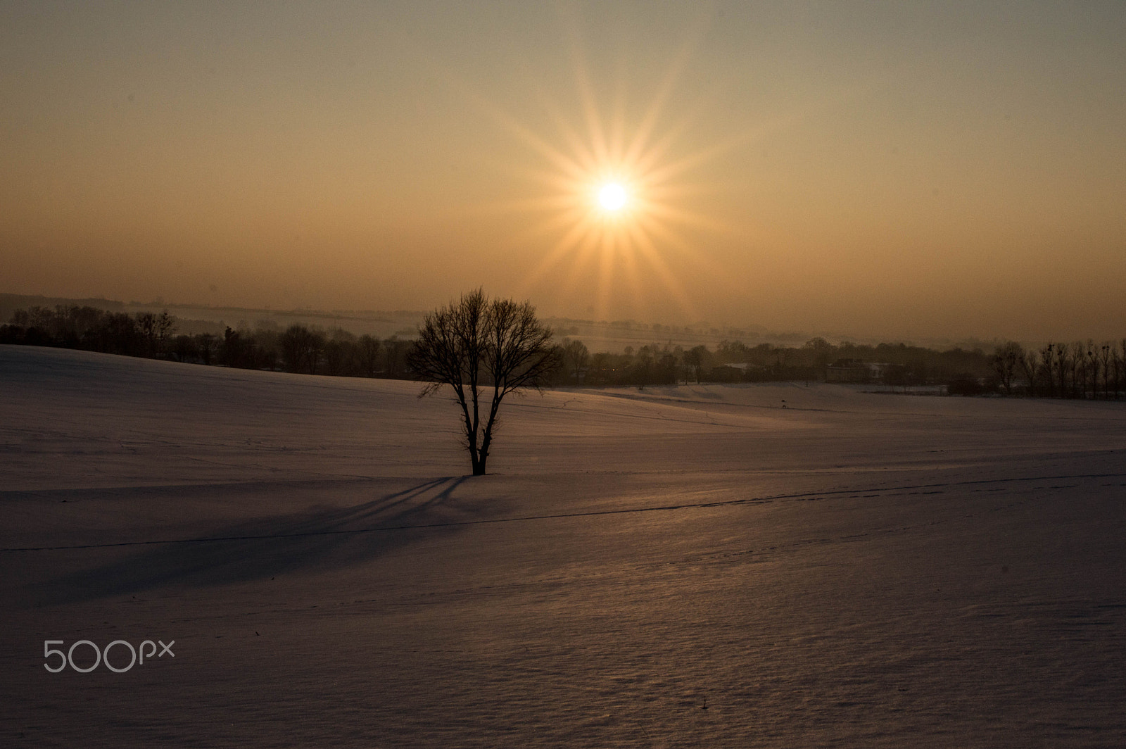Sigma 24-70mm F2.8 EX DG HSM sample photo. Zimowa cisza photography