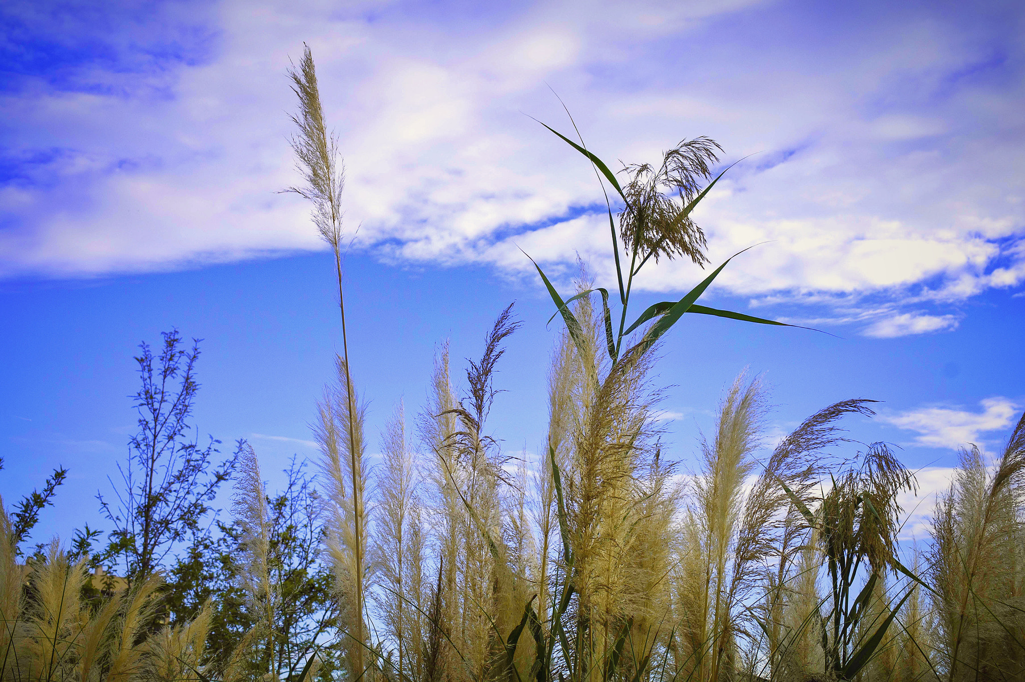 Samsung NX 18-55mm F3.5-5.6 OIS sample photo. Sky photography