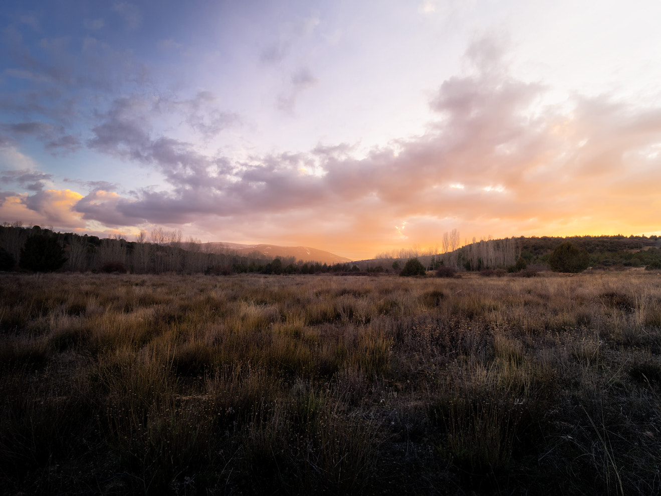 Olympus OM-D E-M1 + Olympus M.Zuiko Digital ED 7-14mm F2.8 PRO sample photo. Campo segoviano photography