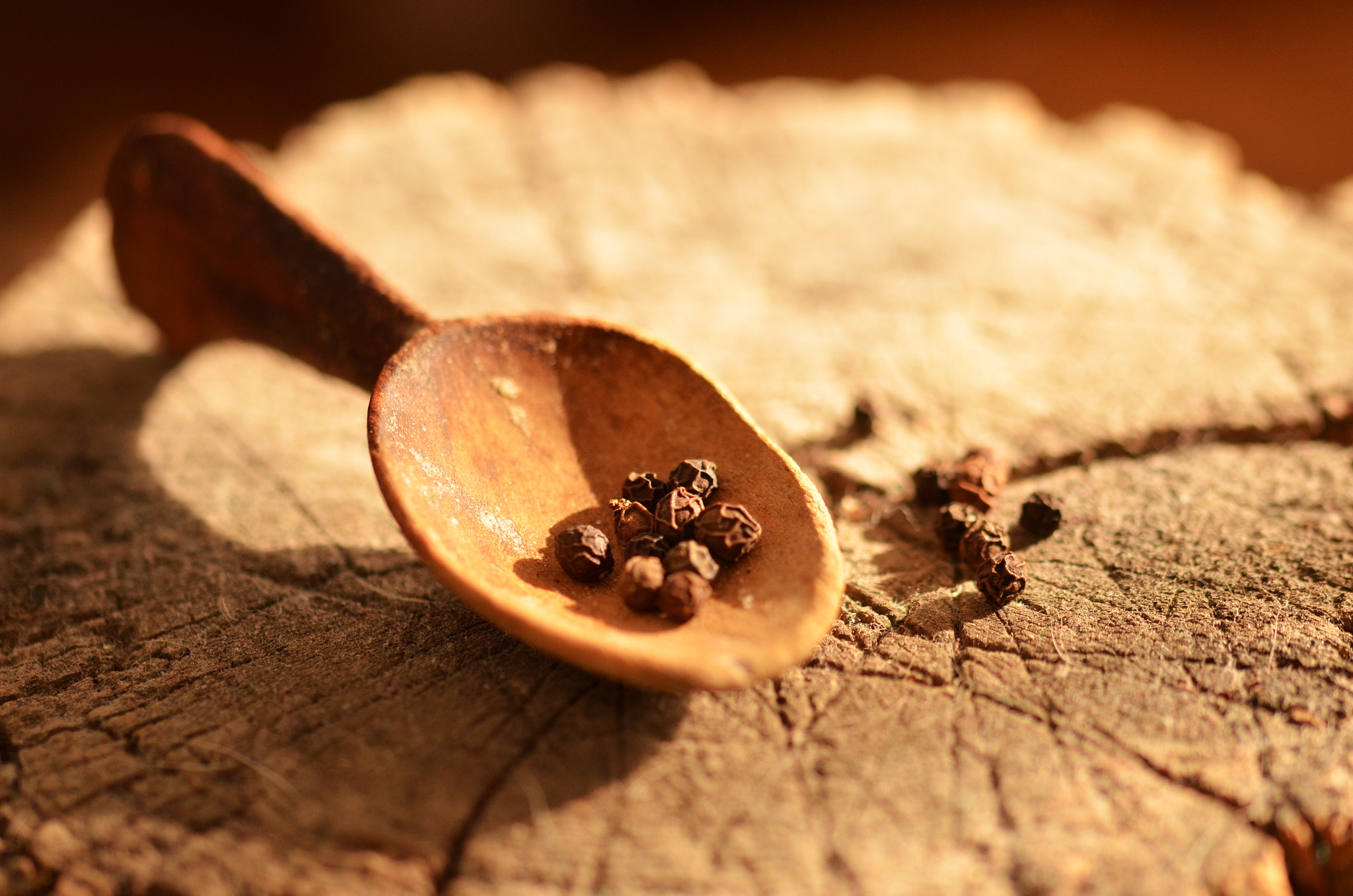 Sigma 105mm F2.8 EX DG OS HSM sample photo. Spoon photography