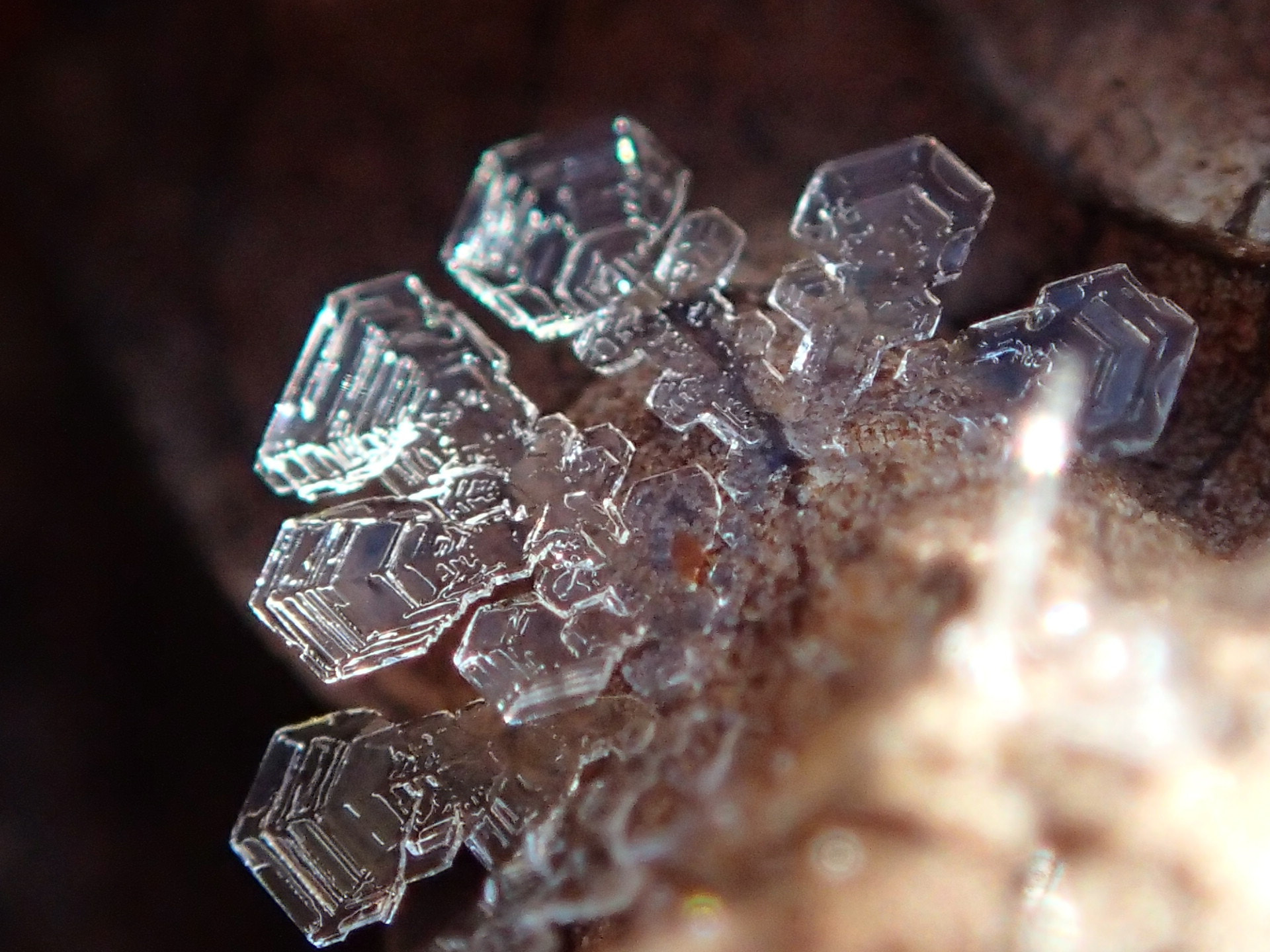 Olympus TG-2 sample photo. Morning crystal photography