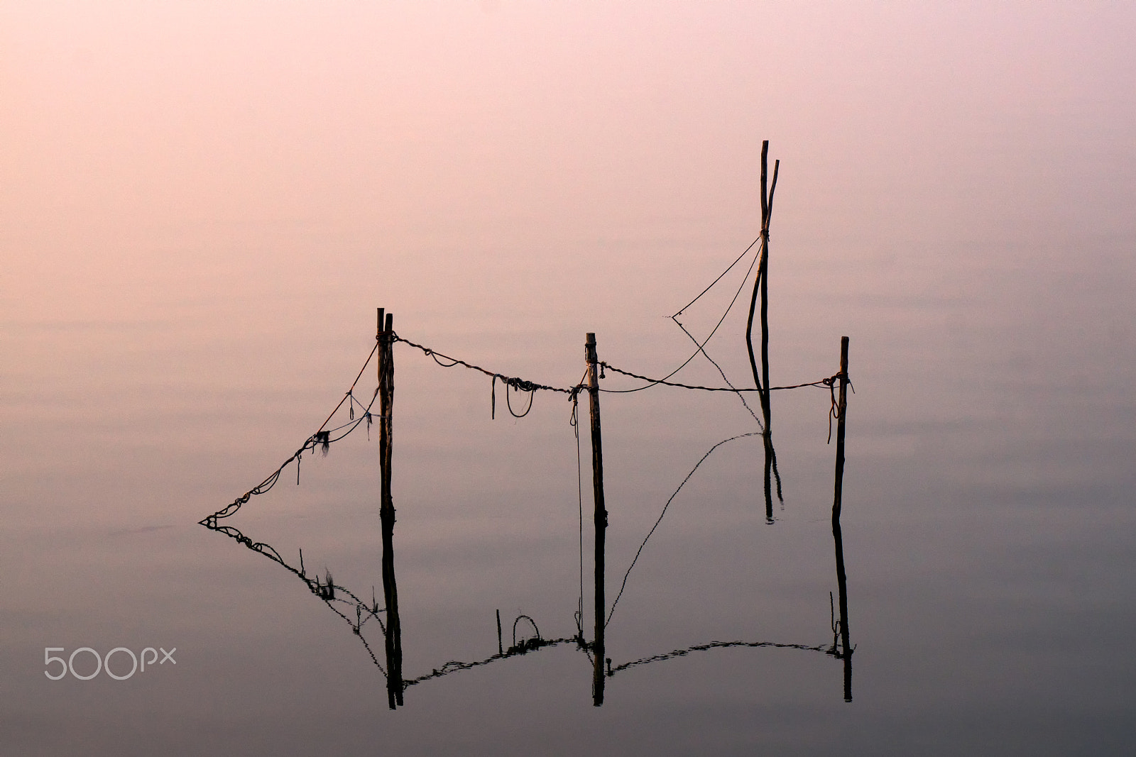 Sony ILCA-77M2 + Tamron SP AF 90mm F2.8 Di Macro sample photo. Fyke nets in the fog photography