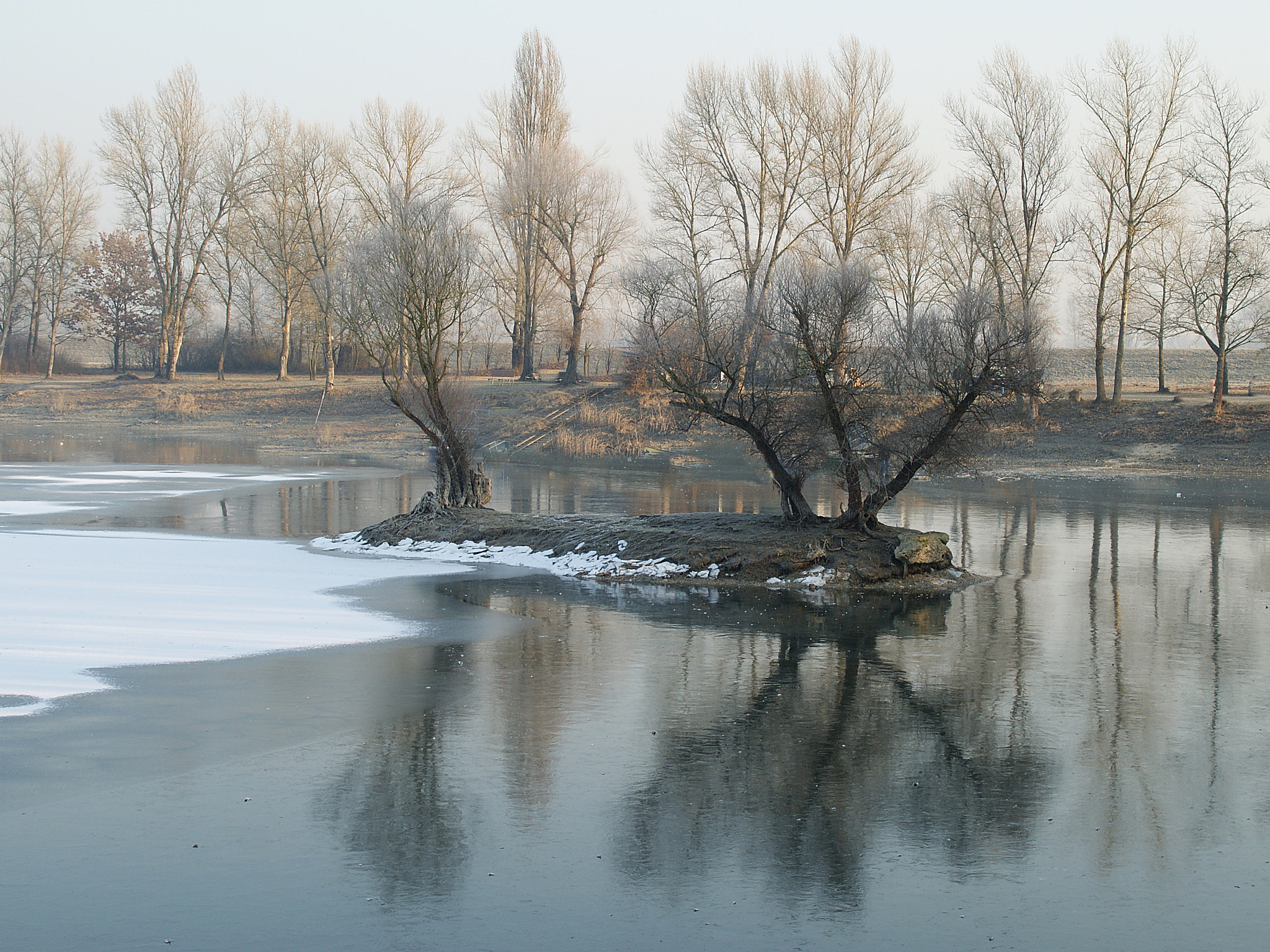 Sony Alpha DSLR-A290 sample photo. Islets caught in the ice photography